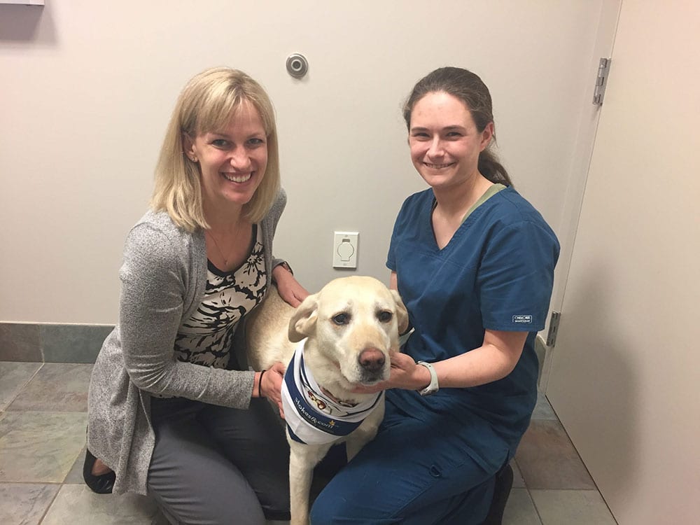 Veterinary Ophthalmogist | Washington, DC | Armour Veterinary Veterinary Ophthalmogist | Washington, DC | Armour Veterinary